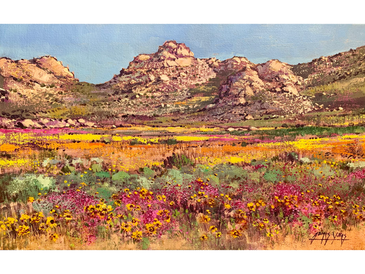 'Springtime near Garies' - James Yates