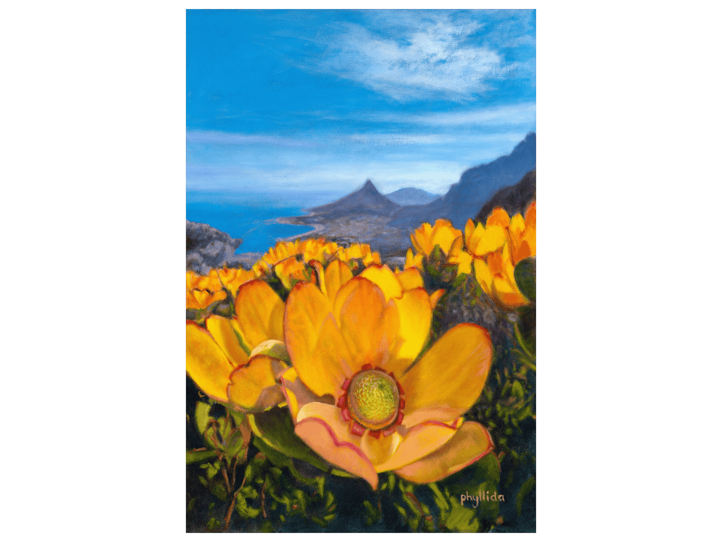 'Yellow Leucadendron' - Phyllida Louw
