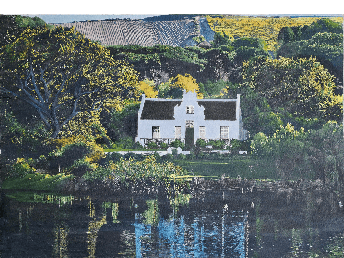 'Zevenwacht ' - Mike Forrester