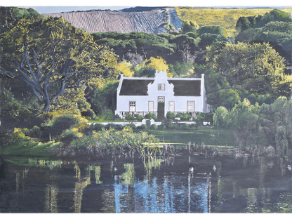 'Zevenwacht ' - Mike Forrester