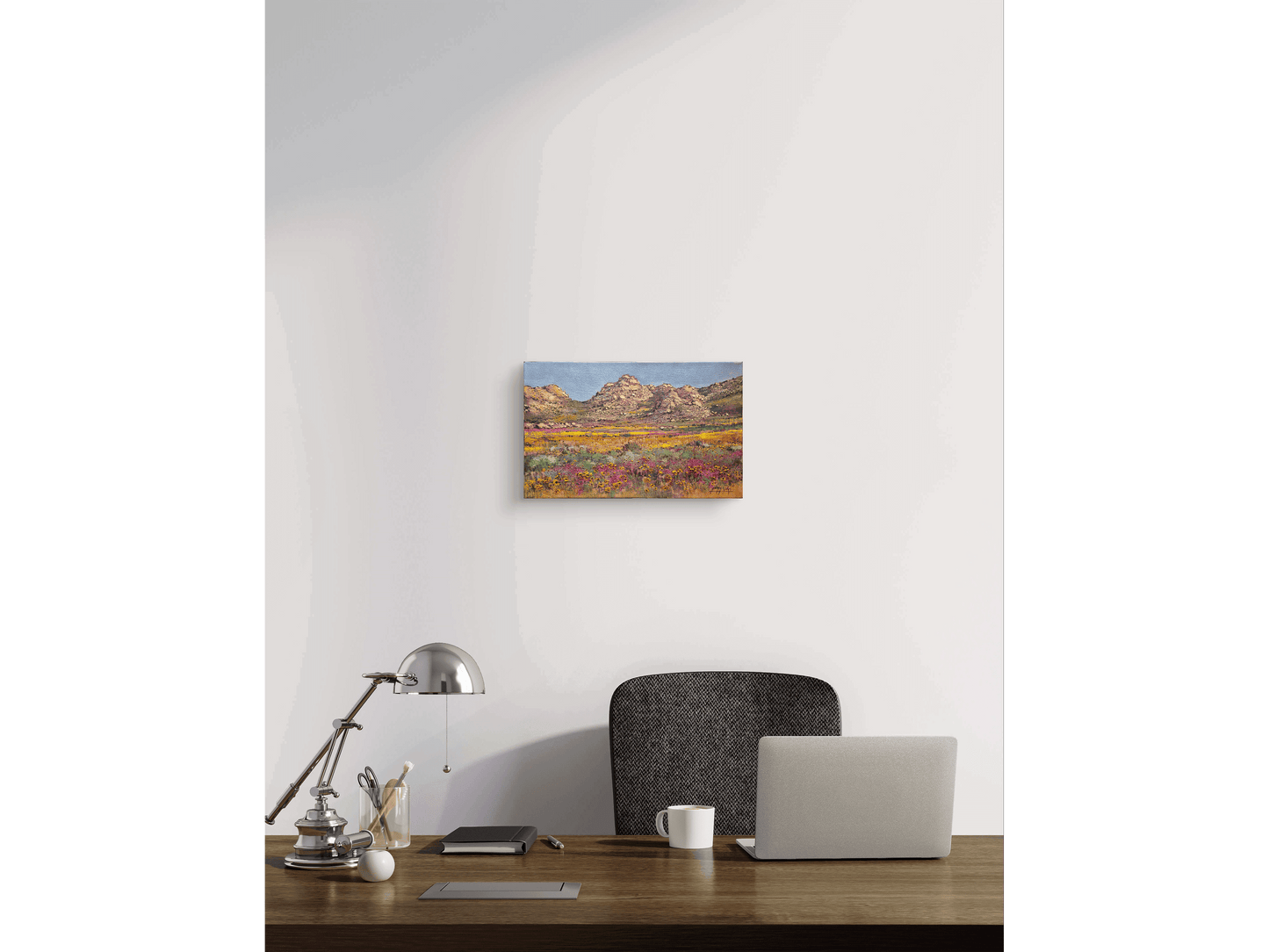 'Springtime near Garies' - James Yates