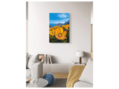 'Yellow Leucadendron' - Phyllida Louw