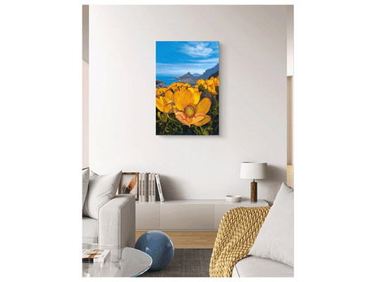 'Yellow Leucadendron' - Phyllida Louw