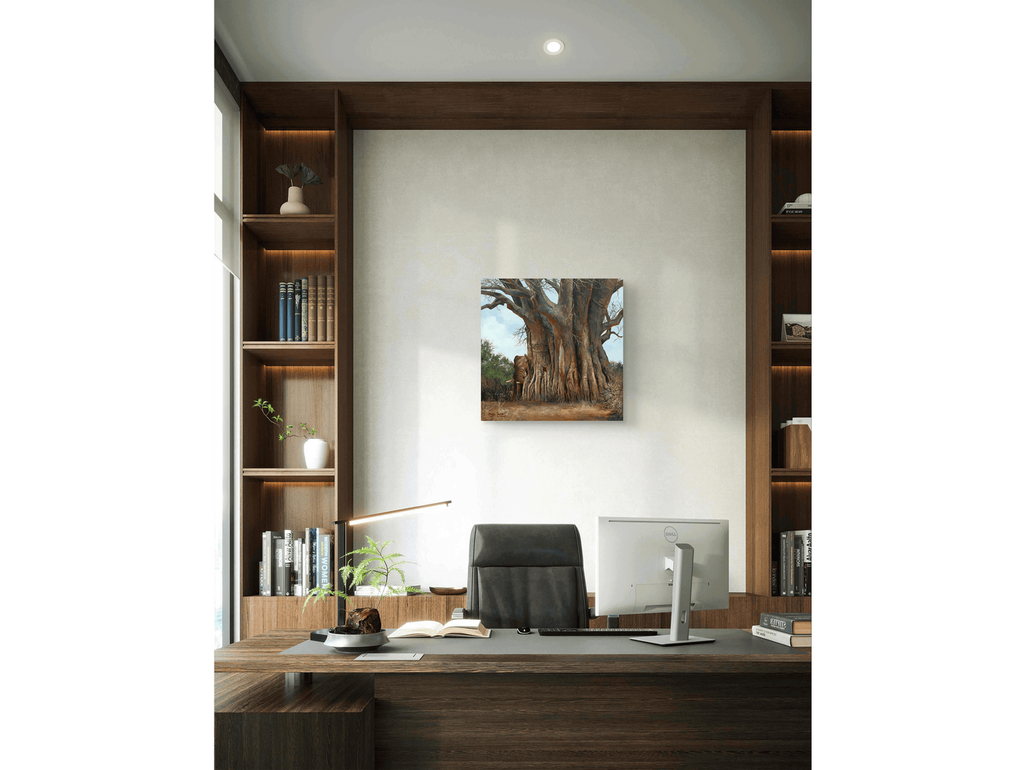 'Baobab' - Dawie Fourie