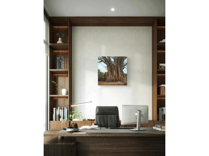 'Baobab' - Dawie Fourie