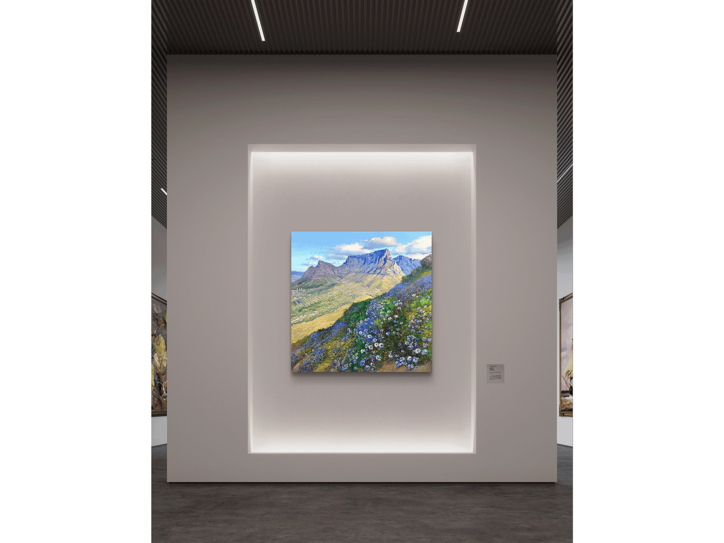 'Wild Asters on Lions Head slopes' - James Yates