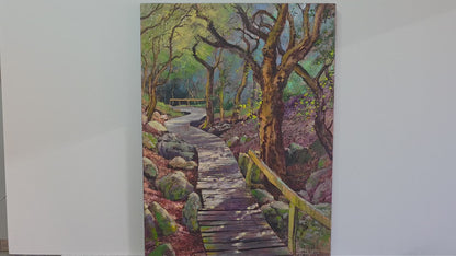 'Spesbona forest, Kalk Bay' - James Yates