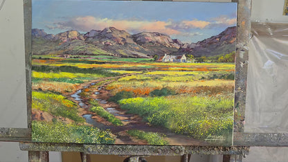 'Flowers in the Middlemannetjie, Namaqualand'