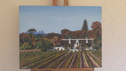 'Constantia Homestead and Vineyards' - Mike Forrester