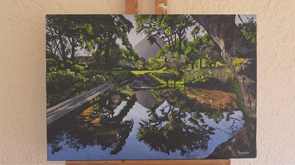 'Noordhoek Pond reflection' - Mike Forrester
