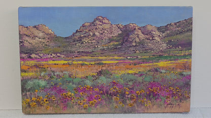 'Springtime near Garies' - James Yates