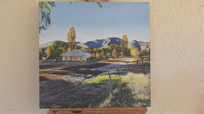 'Karoo street scene' - Mike Forrester
