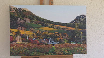 'Klein Constantia' - Mike Forrester
