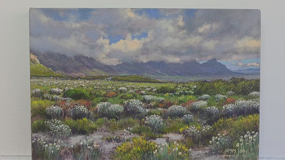'Silvermine Reserve' - James Yates
