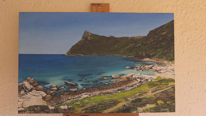 'Taking a swim at Smitswinkels Bay' - Mike Forrester