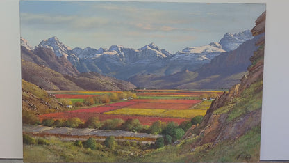 'Autumn snow in the Hex River Valley' - James Yates