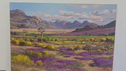 'Springtime near Springbok' - James Yates