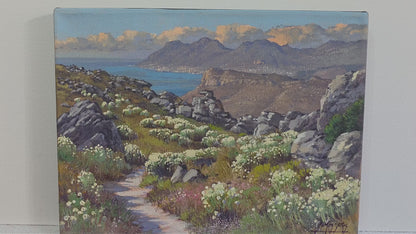 'Everlastings above Kalk Bay' - James Yates