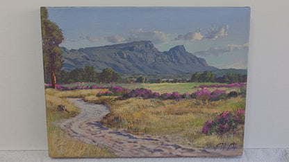 'Pelargonium time, Tokai Park' - James Yates