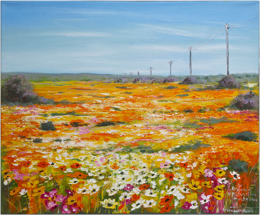 'Nieuwoudtville' - Antonia Velissariou